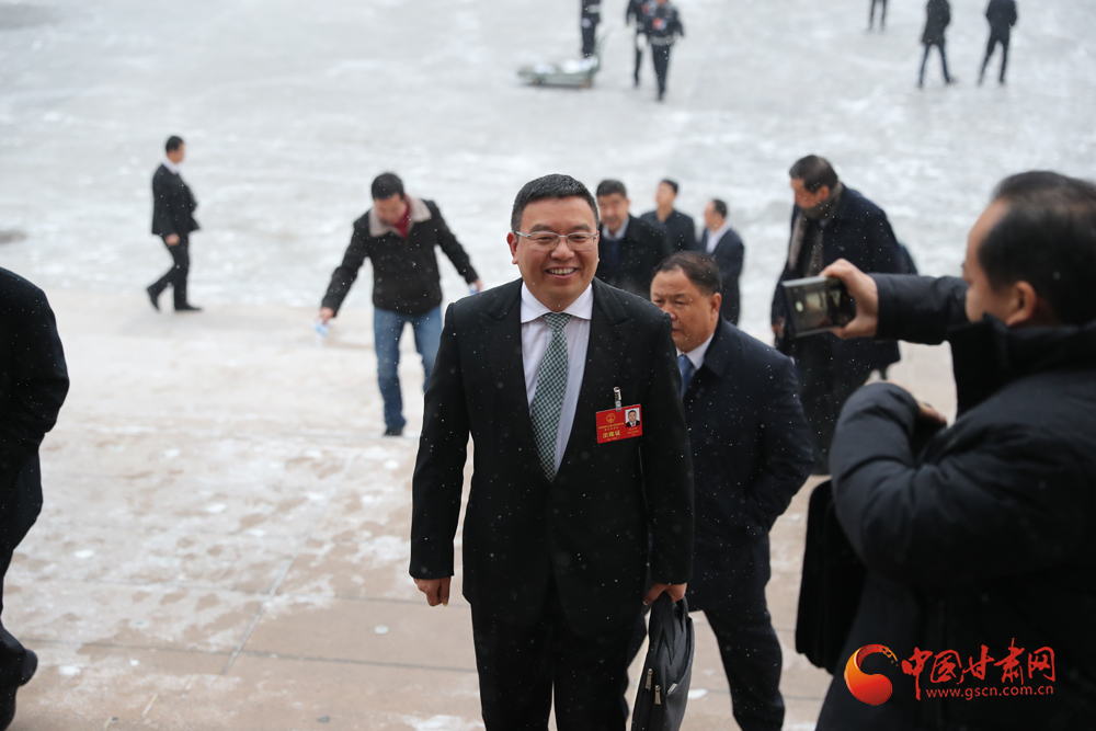【聚焦2020甘肅兩會】“兩會”代表、委員風(fēng)采掠影（組圖）