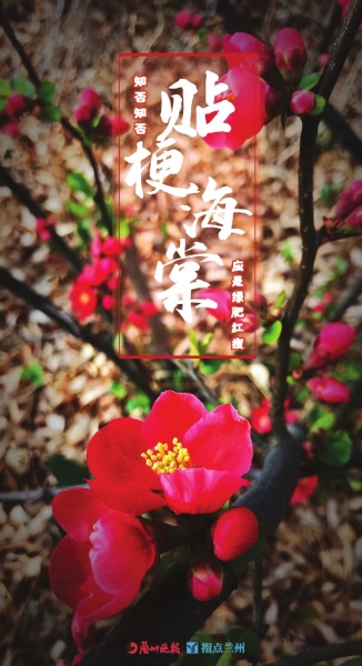 來，跟這些美美的花朵認(rèn)識一下！