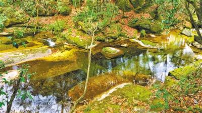 甘肅旅游丨八福溝，西秦嶺深處的水韻秘境