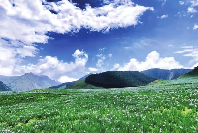 “領(lǐng)略不一樣的夏季風(fēng)情！”走進(jìn)中國(guó)旅游避暑勝地武威