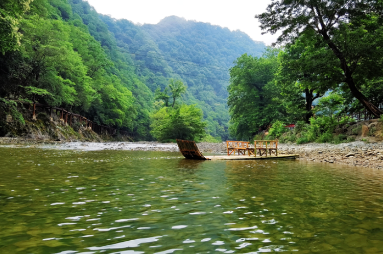 【小隴畫報·95期】康縣：來陽壩，“森”呼吸，我“氧”你