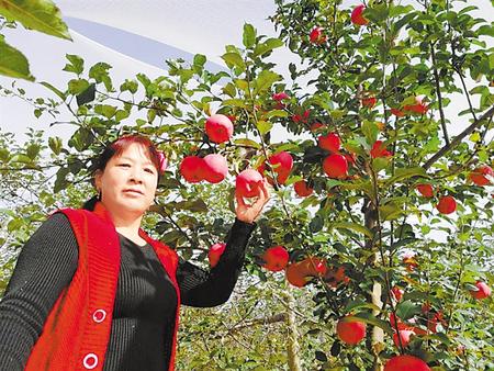 【走向我們的小康生活】馮巧葉，“大家一起過好日子”