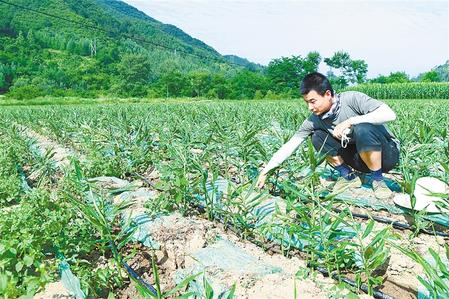 【走向我們的小康生活】安居樂業(yè) 幸?；ㄩ_