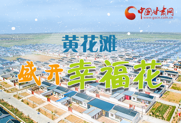 【跟著總書(shū)記看甘肅】長(zhǎng)圖|武威黃花灘盛開(kāi)幸?；?