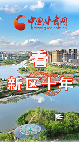 圖解|崛起！新區(qū)十年