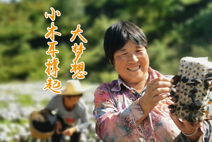 海報丨他們，乘“豐”破浪！