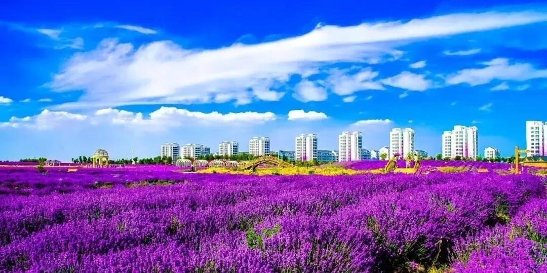 喜訊！金昌蟬聯(lián)全國文明城市