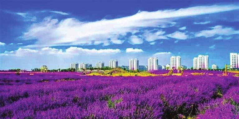 “三連冠”！金昌蟬聯(lián)全國文明城市