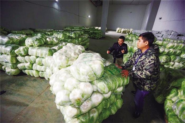 蘭州市已儲備1萬噸冬春蔬菜以耐貯存、易周轉(zhuǎn)品種為主
