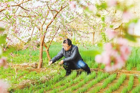 甘肅：時令催人耕種忙，不誤田間一季春