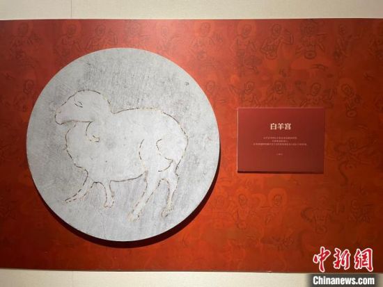圖為展覽現(xiàn)場。　江楊燁 攝