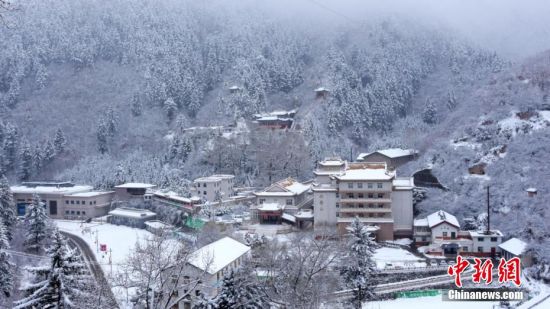 圖為籠罩在雪下的世界。吳永 攝