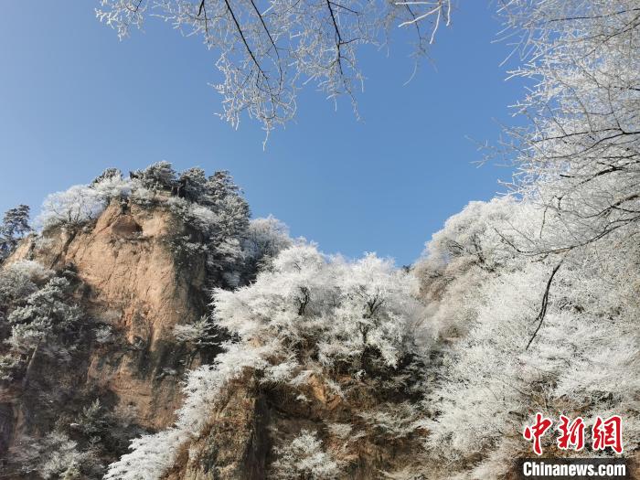 圖為藍天下霧凇籠罩山脈。　徐振華 攝