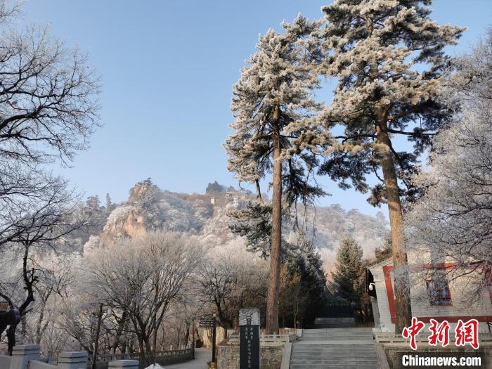 圖為崆峒山霧凇景色美不勝收?！⌒煺袢A 攝