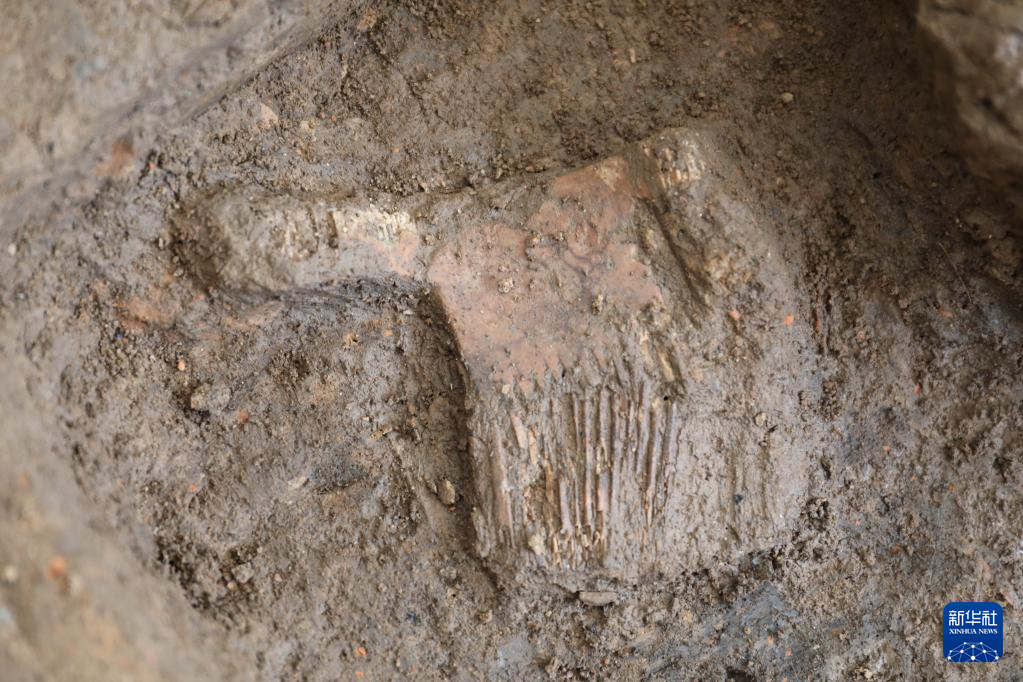 河南南陽市黃山新石器時(shí)代遺址出土的屈家?guī)X文化骨梳（資料圖）。