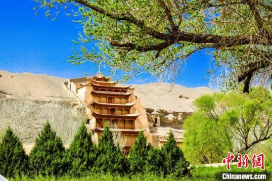 4月的敦煌莫高窟景區(qū)春意盎然。(資料圖) 王斌銀 攝