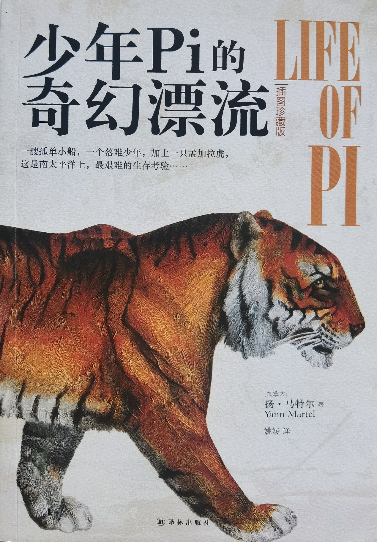 插圖1：揚(yáng)？馬特爾的小說《少年pi的奇幻漂流》封面