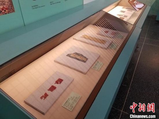 圖為展覽現場。　敦煌研究院供圖