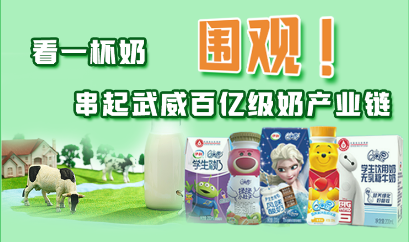 圖解|圍觀！看一杯奶串起武威百億級奶產(chǎn)業(yè)鏈