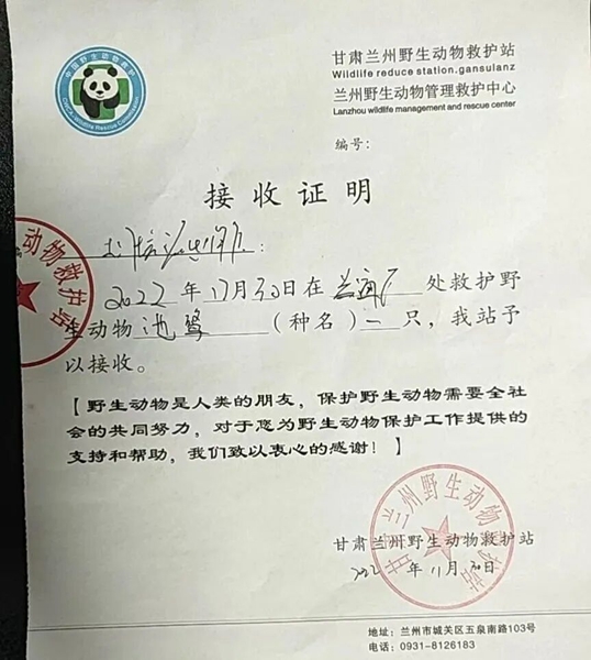 受到救助的池鷺被蘭州野生動物保護站接收。（蘭州市公安局七里河分局供圖）
