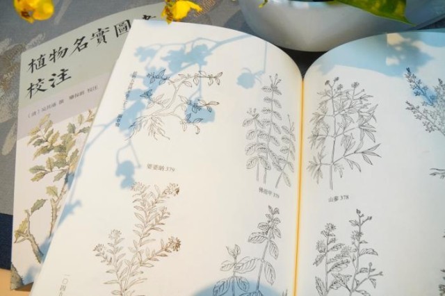 《植物名實(shí)圖考校注》內(nèi)頁。圖片來源：中華書局供圖
