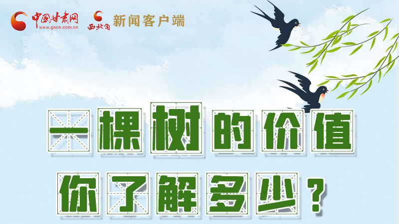 圖解|一棵樹的價(jià)值你了解多少?來(lái)看！