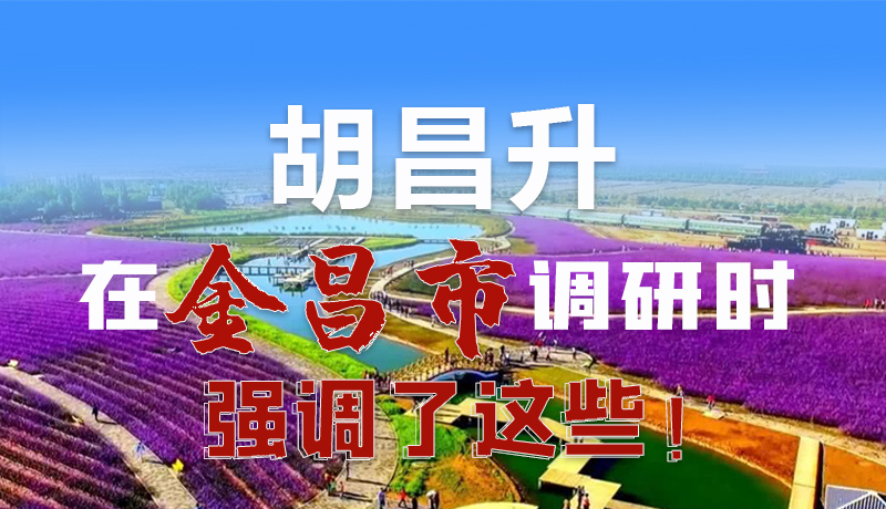 圖解|胡昌升在金昌市調(diào)研時(shí)強(qiáng)調(diào)了這些！