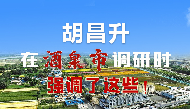 圖解|胡昌升在酒泉市調研時強調了這些！