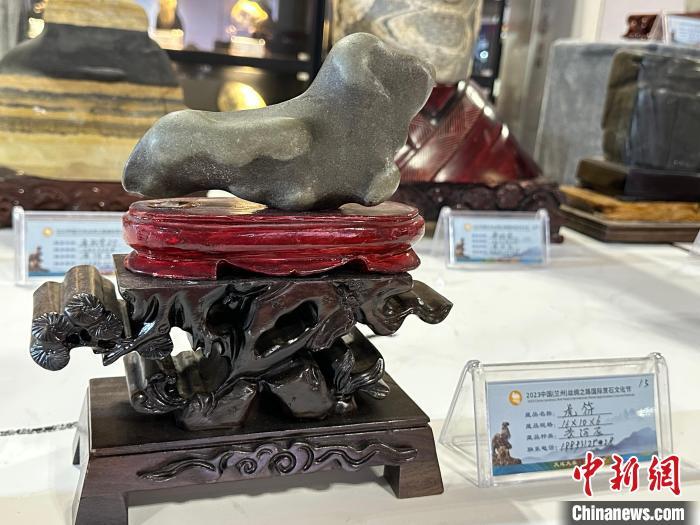 8月3日——7日，2023中國(蘭州)絲綢之路國際賞石文化節(jié)在甘肅國際會(huì)展中心舉行。圖為名為《虎符》的黃河石。楊娜 攝</p><p>