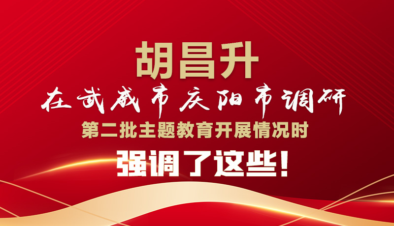 圖解|胡昌升在武威市慶陽市調(diào)研第二批主題教育開展情況時(shí)強(qiáng)調(diào)了這些！