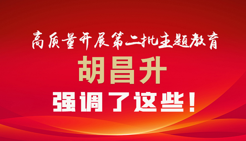 圖解|高質(zhì)量開展第二批主題教育 胡昌升強調(diào)了這些！
