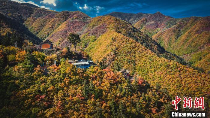 深秋，位于蘭州市榆中縣的興隆山，似打翻調(diào)色板。金峯 攝