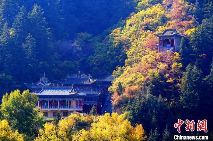 深秋，位于蘭州市榆中縣的興隆山景色如畫。宮衛(wèi)紅 攝